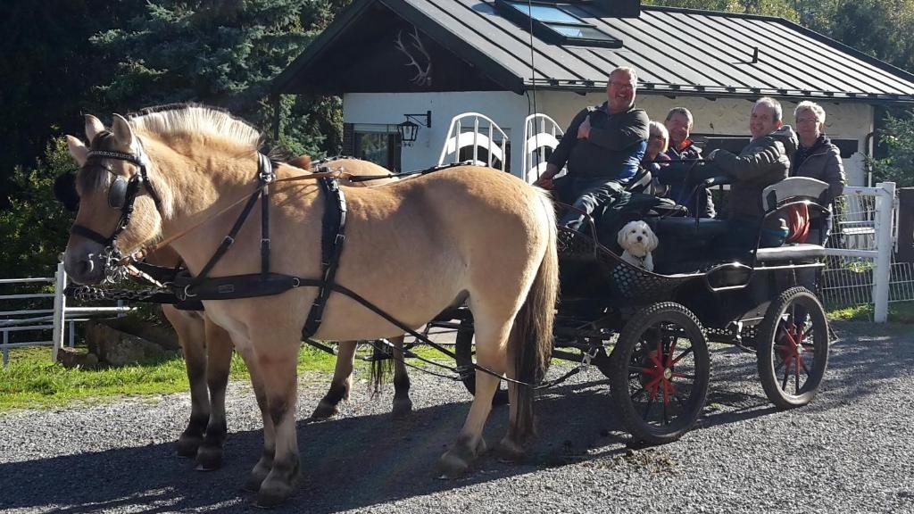 Jízda na koni v penzionu nebo okolí