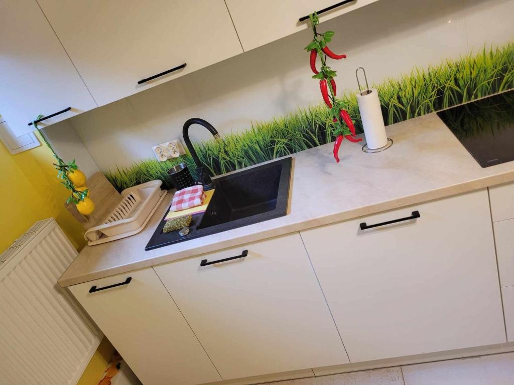 Przestrzenny apartament Biała Flaga Podwórko, Grill, Rowery - Appartement Met 1 Slaapkamer
