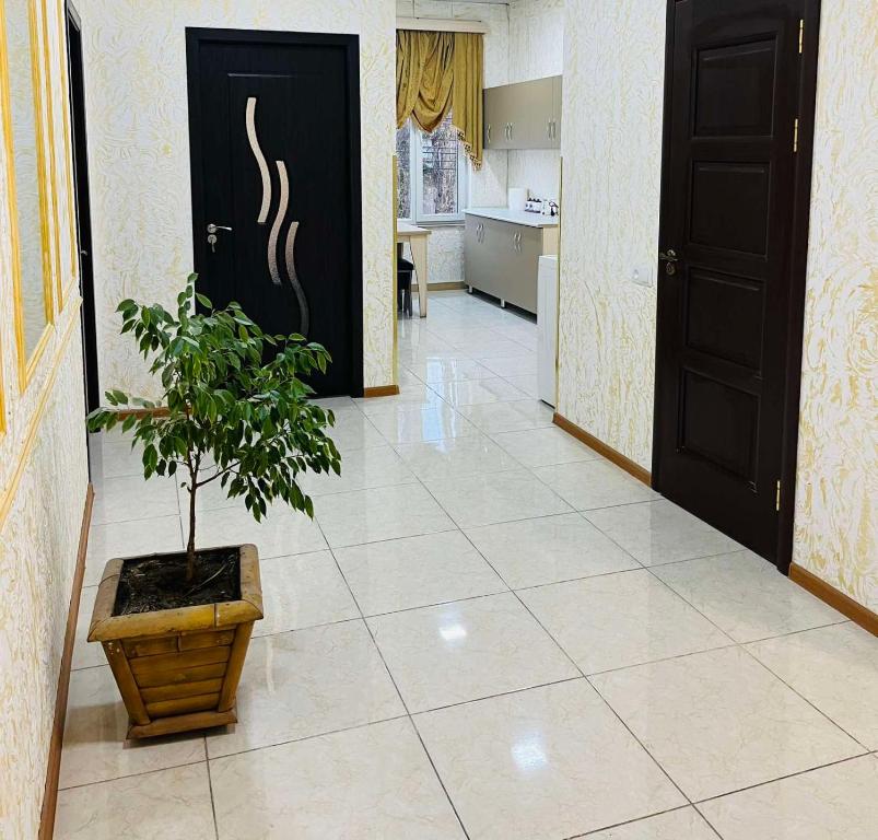 un pasillo con una maceta y una puerta negra en Cosy Ijevan, en Ijevan