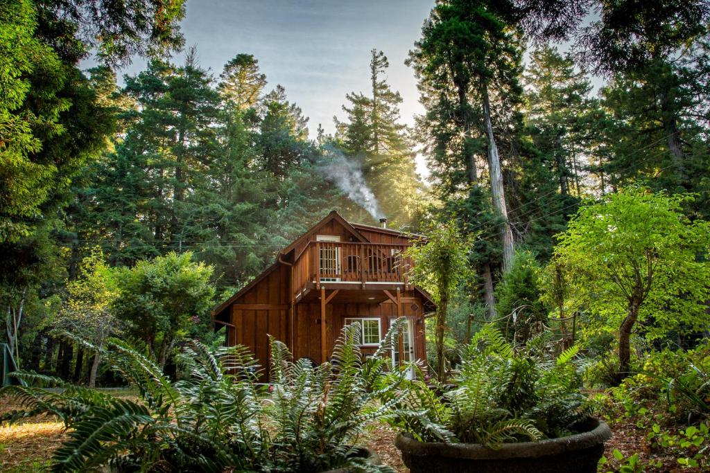 a tree house in the middle of a forest at Hearthwood in Fort Bragg