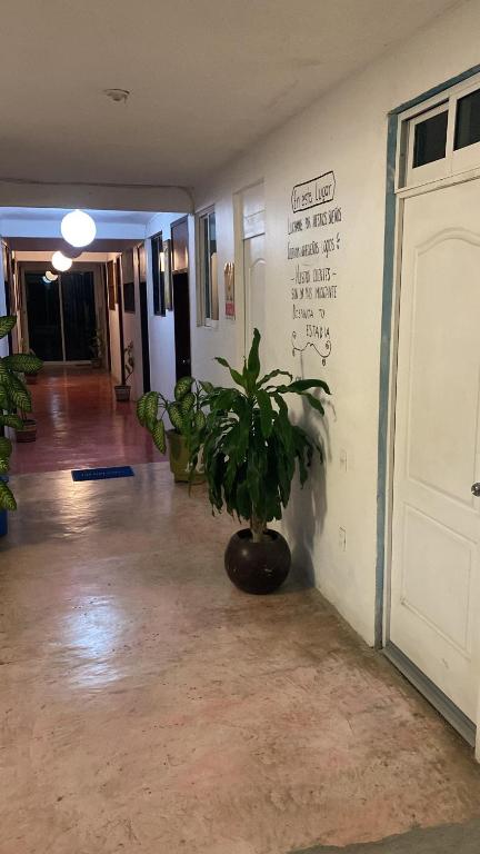 Vstupní hala nebo recepce v ubytování Hotel Lu'um