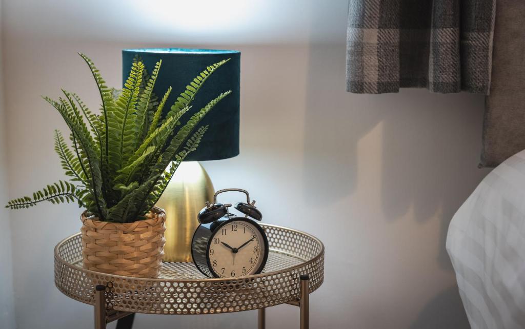 un reloj y una planta sobre una mesa con una lámpara en Accessible 3-bedroom bungalow with patio +driveway, en Southampton