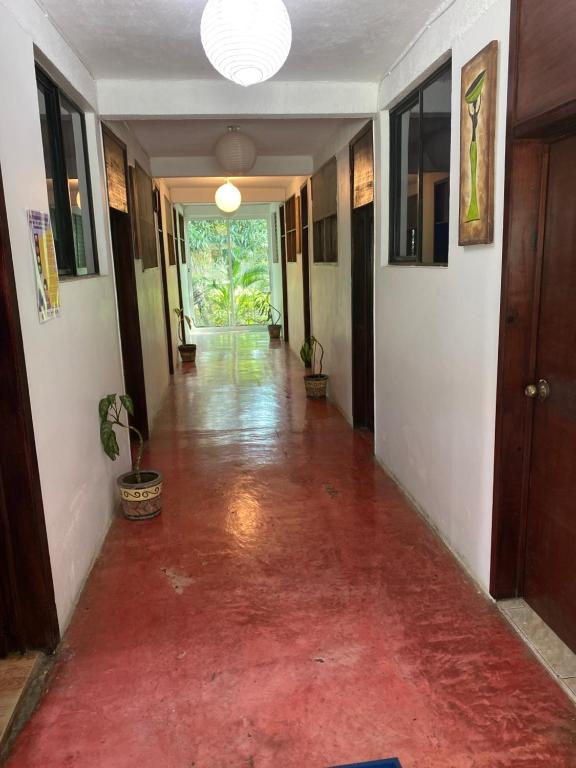 Fotografie z fotogalerie ubytování Hotel Lu'um v destinaci Tecolutla