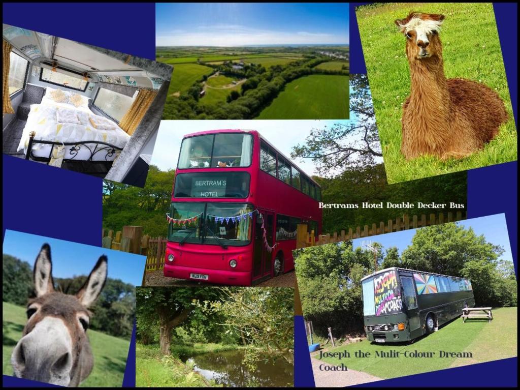 un collage de fotografías de animales y un autobús de dos pisos en Fosfelle Glamping, en Hartland