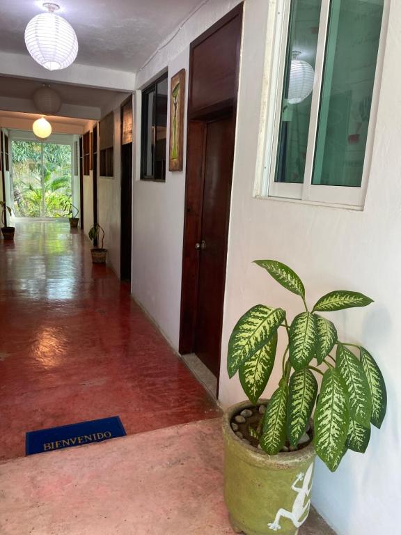 Fotografie z fotogalerie ubytování Hotel Lu'um v destinaci Tecolutla