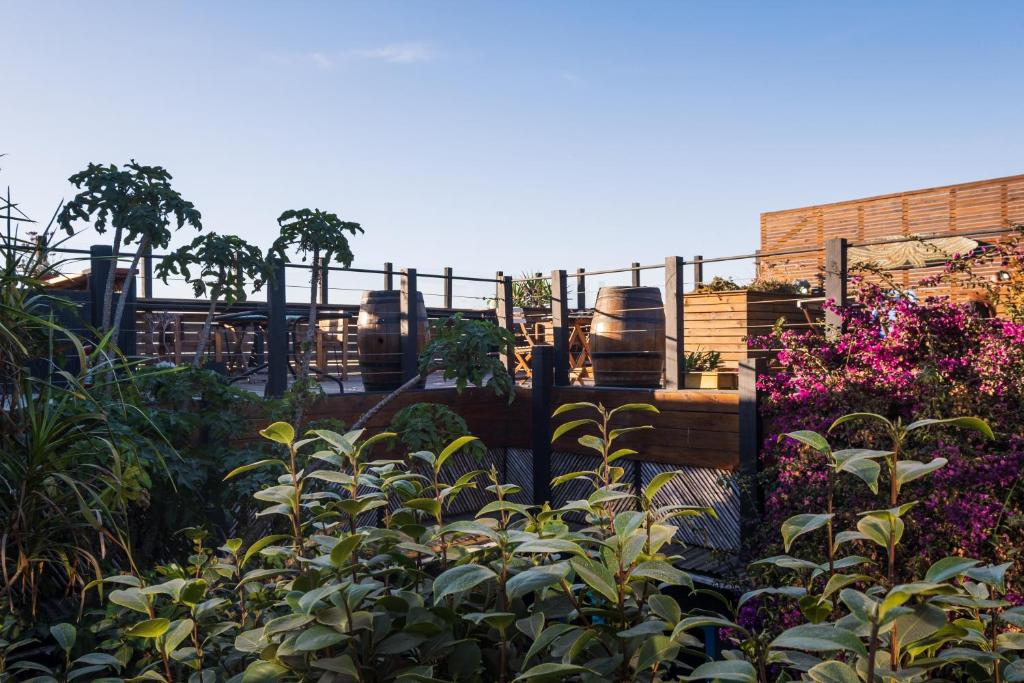 A garden outside LÖF Hostal