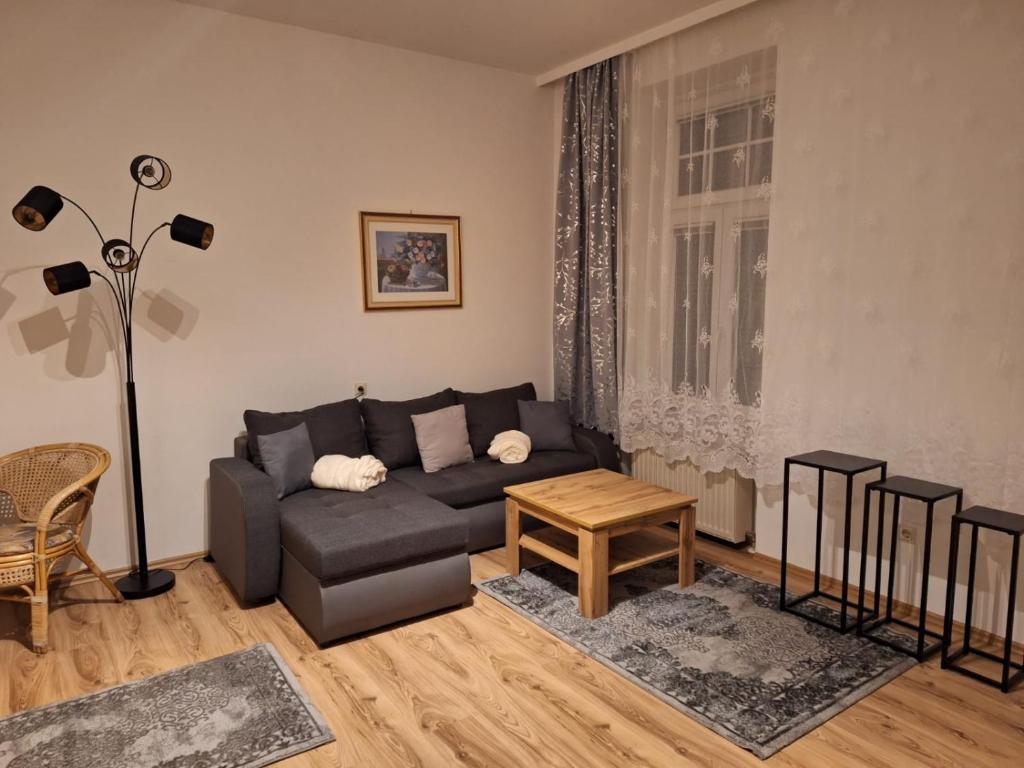Posezení v ubytování Villa SCS Nähe