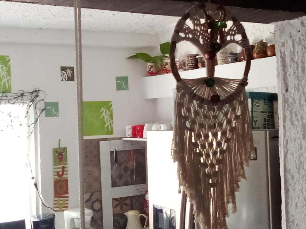 Fotografie z fotogalerie ubytování Naranjo Hostel v destinaci Cancún