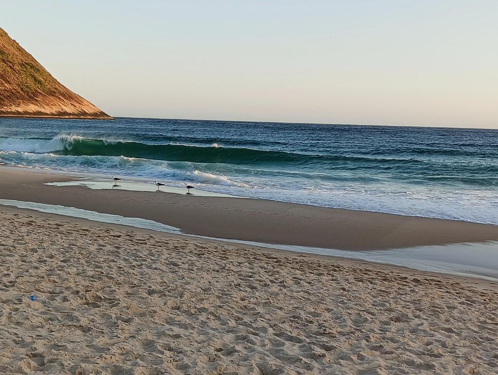 a beach with birds walking on the sand and the ocean at Praia Itacoatiara Casa Jardim in Niterói