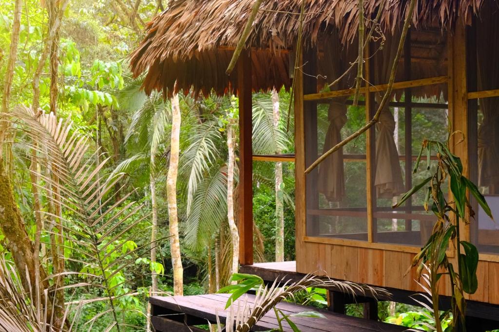uma cabana na selva com um telhado de palha em CHUNAKI ECOLODGES - All Inclusive - Authentic Activities and Food 