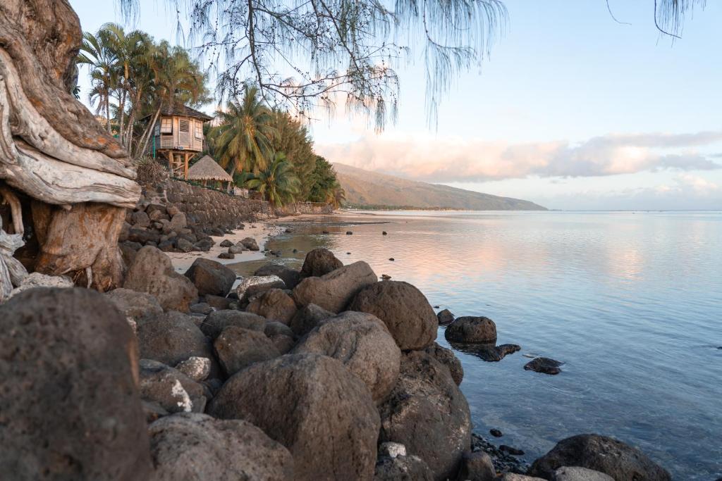 Le Rêve Tropical proximité plage et commerces - photo 6 - Tahiti, Polynésie