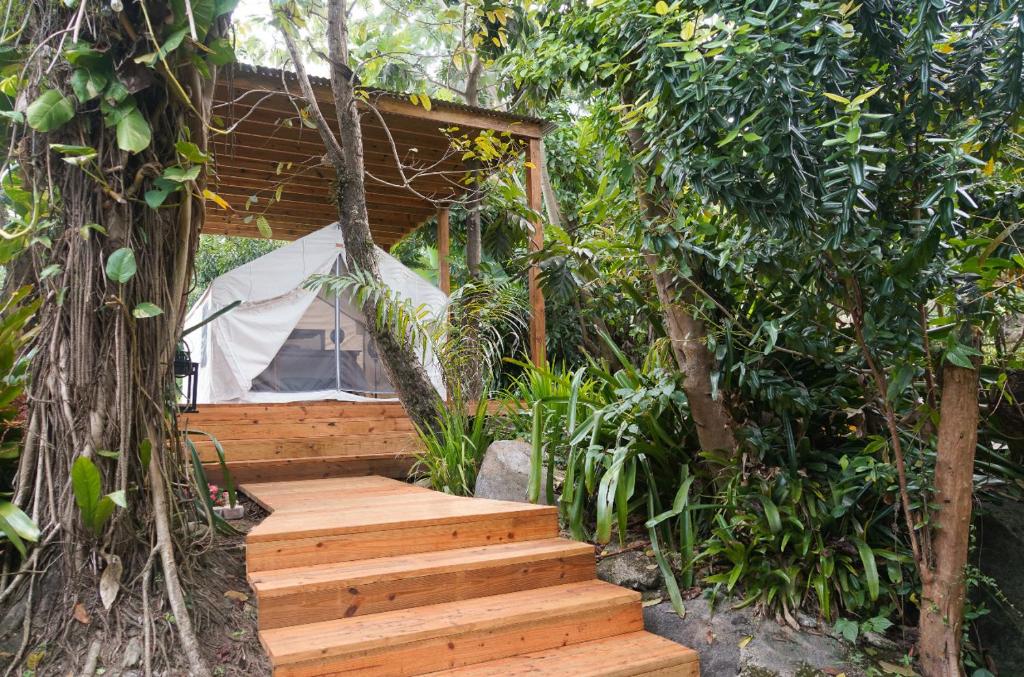 Zahrada ubytování El Yunque Glamping Experience
