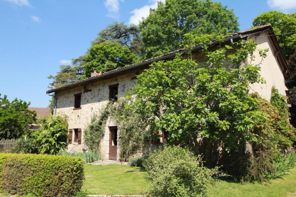 una vieja casa de piedra con un árbol delante en Le masbareau, le vieux domaine en Royères-Saint-Léonard