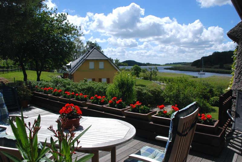 Ferienappartements unterm Reetdach - Two-Bedroom Apartment With Terrace