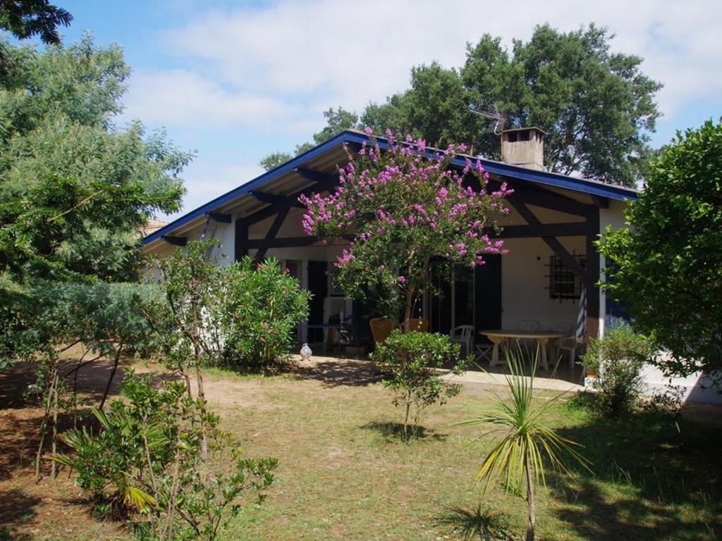 une maison avec des fleurs roses dans la cour dans l'établissement Grande maison landaise près du port de Capbreton, 4 chambres, jardin, animaux admis - FR-1-413-232, à Capbreton