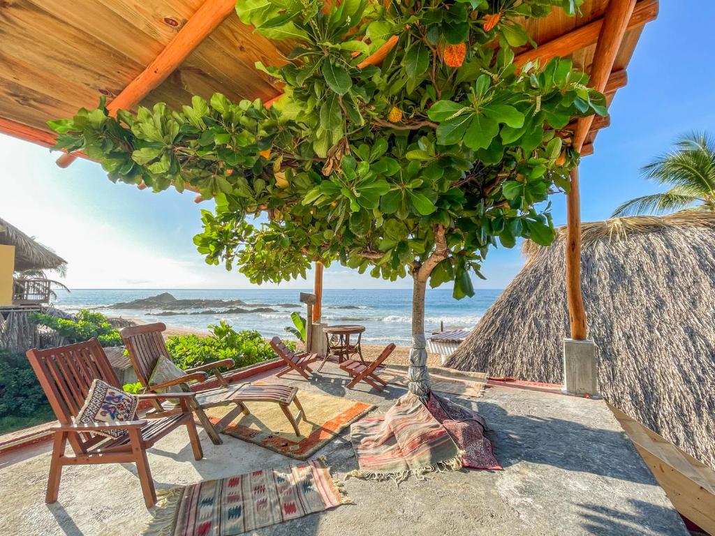 een groep stoelen en een boom op het strand bij Posada Buda-Tortuga in San Agustinillo