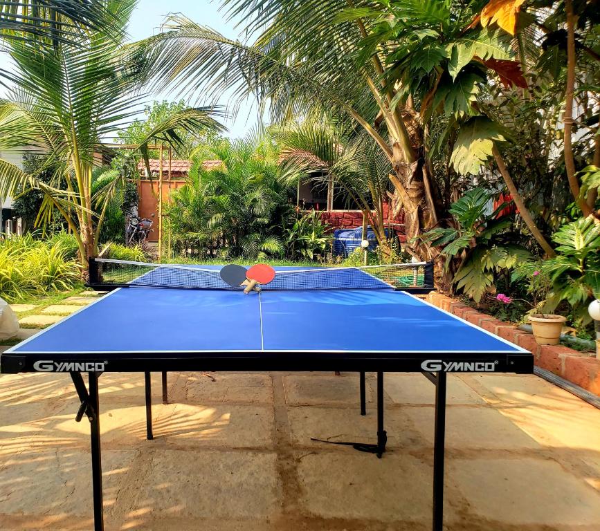 Stolní tenis v ubytování White Truffle Resort, Arambol nebo okolí