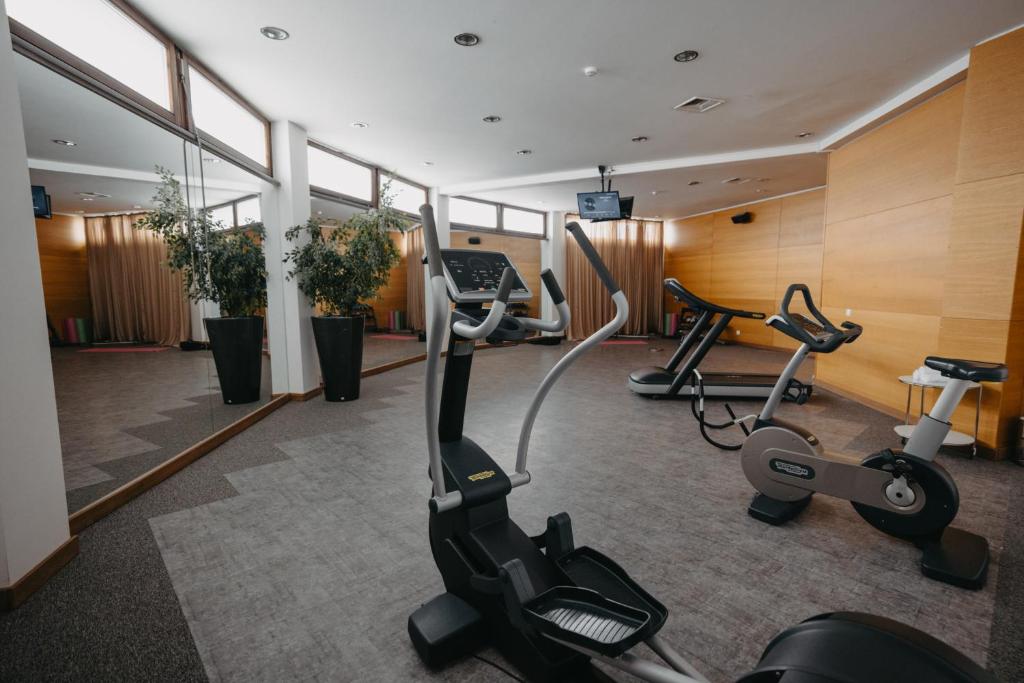 Fitness centrum a/nebo fitness zařízení v ubytování Marco Polo Hotel Gudauri