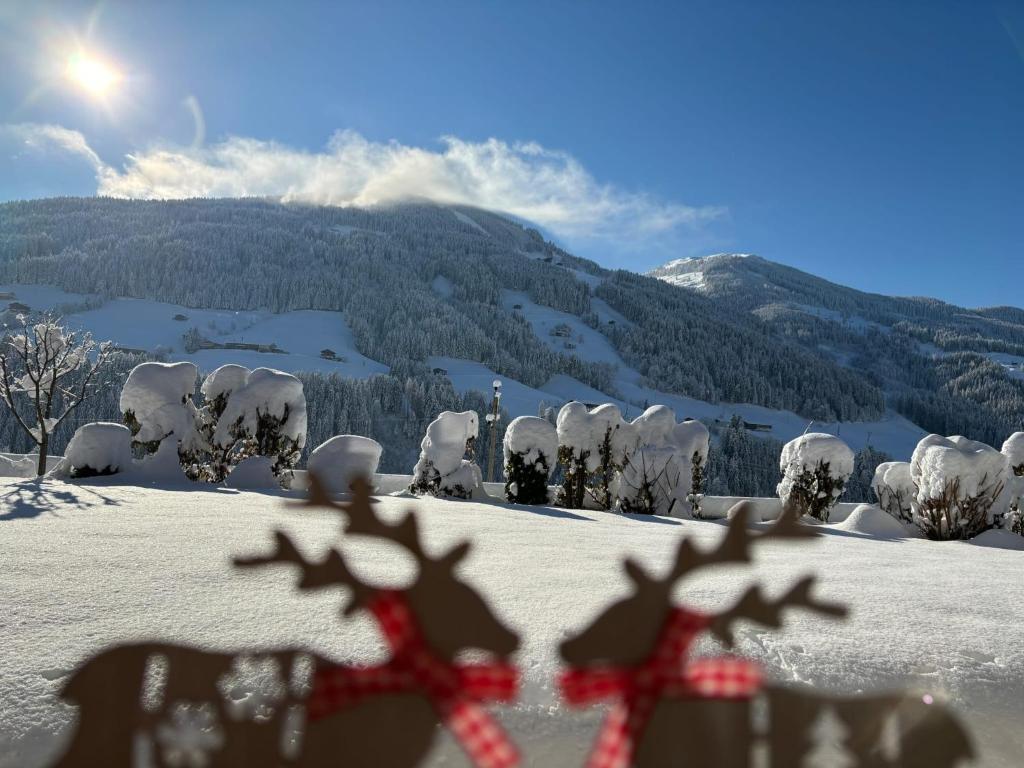 アルプバッハにあるHaus Schmetterlingの雪山頂からの眺め