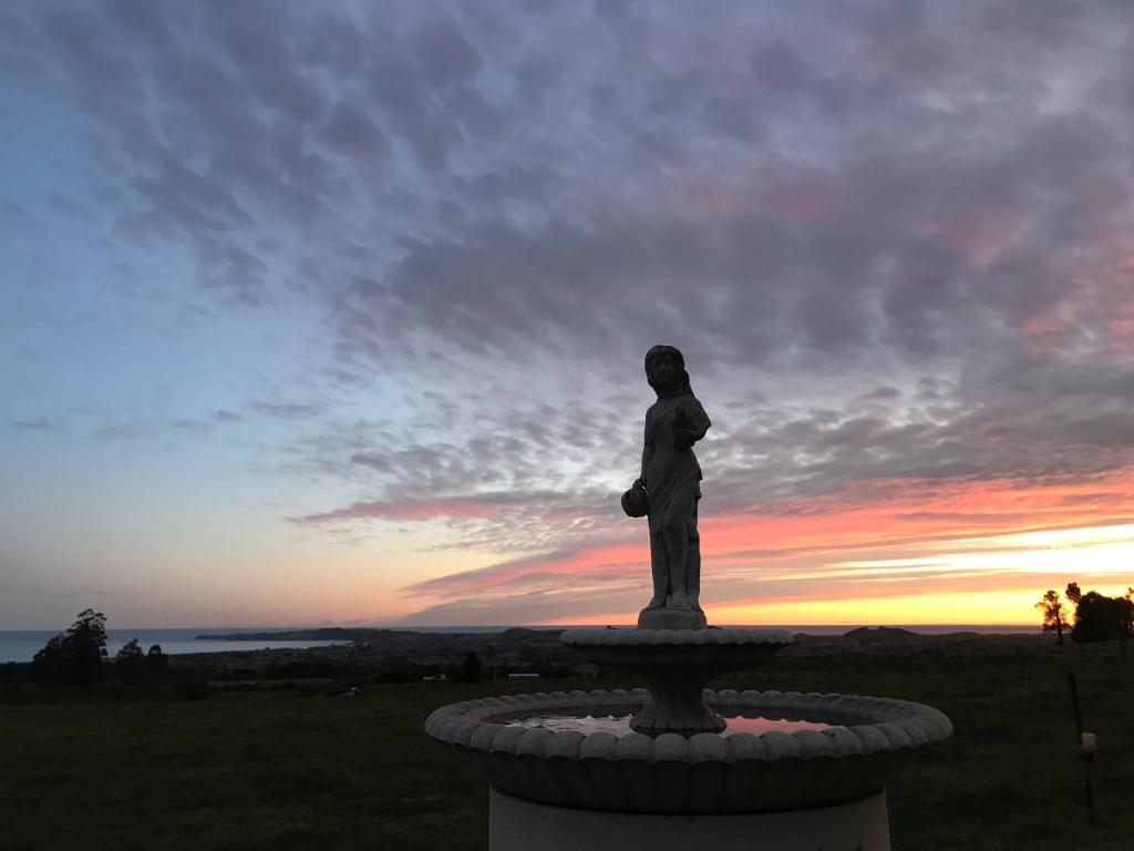 Kereru Cottage - Resim 16