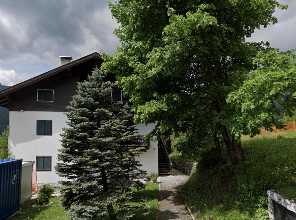 una casa con un pino delante de ella en Cortina, the place to be!, en Cortina dʼAmpezzo
