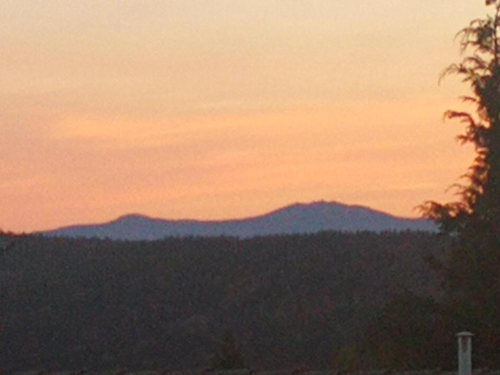 a sunset with mountains in the distance with trees at Arberblick in Schöfweg