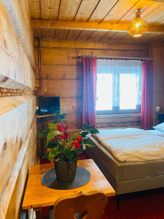 Bukovina Concept przy stoku narciarskim - 4