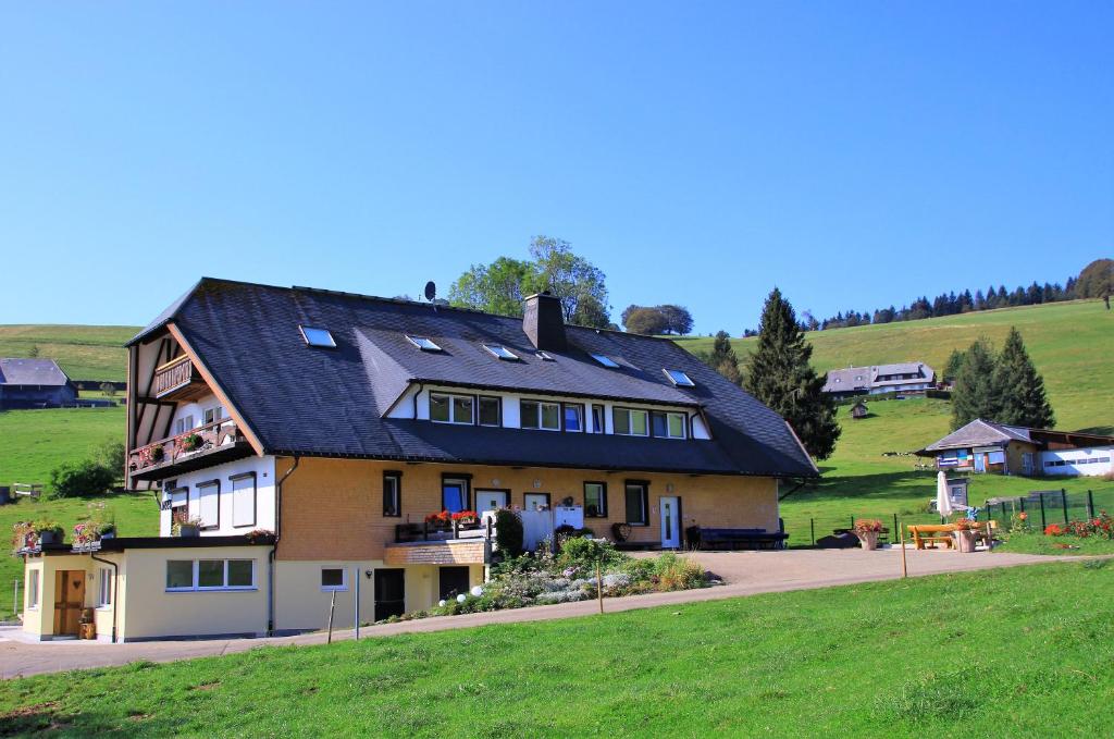 a house with a black roof on a green field at Sport Rees- Ferienwohnung Ulrich in Hofsgrund