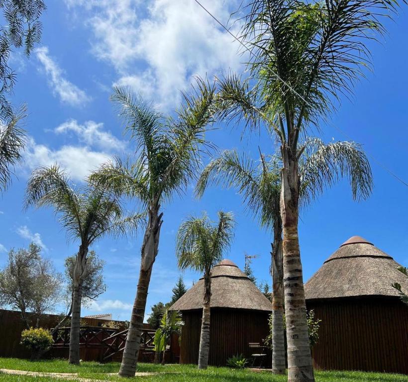 zwei strohgedeckte Hütten und Palmen auf einem Feld in der Unterkunft Tropical bungalow suite in El Palmar