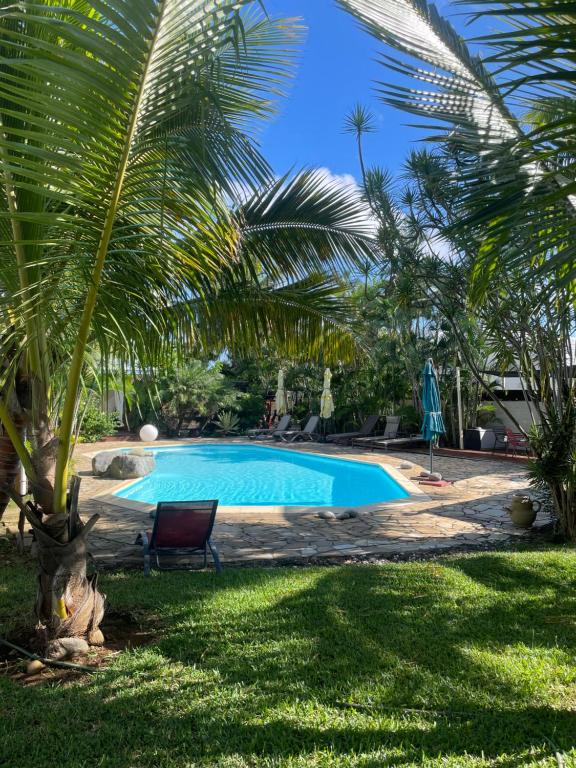 a swimming pool in a yard with a palm tree at Villa Albizia 974 avec piscine et spa in Saint-Pierre