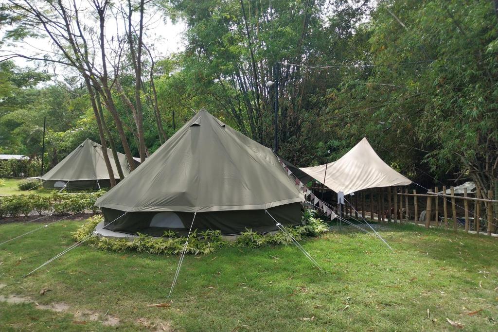 grupa namiotów siedzących w trawie w obiekcie It my life cafe x camp w mieście Ban Tha Sai