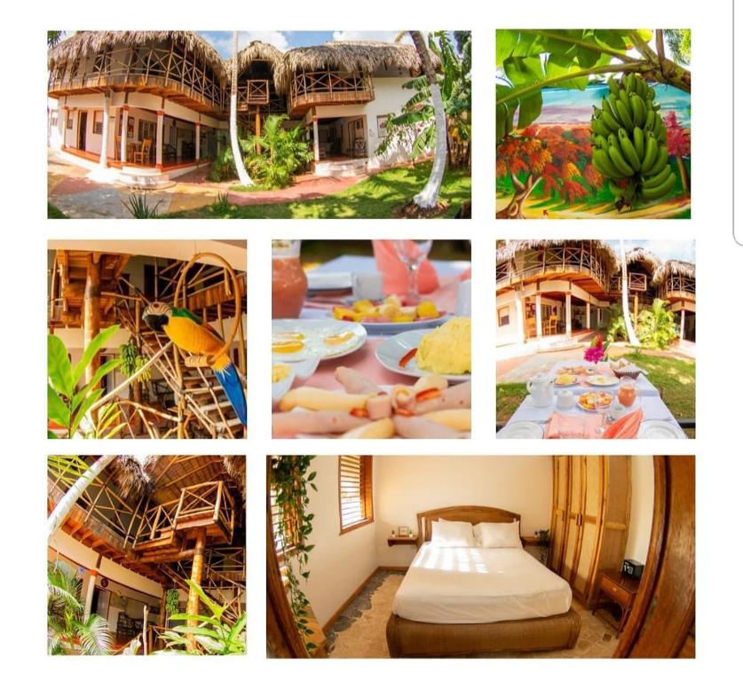 a collage of pictures of a resort with a bed at Jardín del Coco in Las Galeras