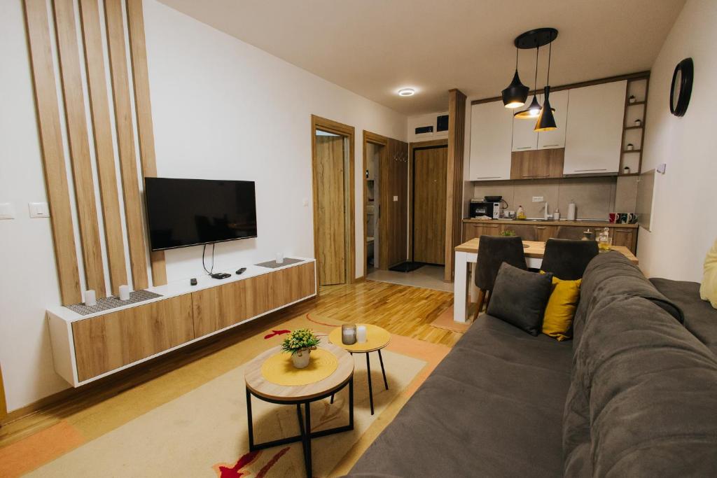 a living room with a couch and a tv at Apartment Vista In Prestige in Zlatibor