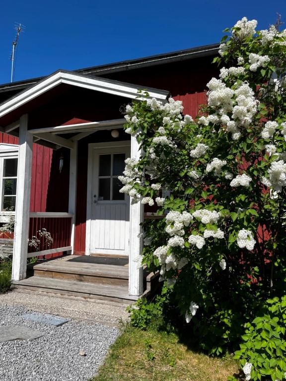 a red house with a white door and a bush of flowers at The Guest House. in Gammelstaden