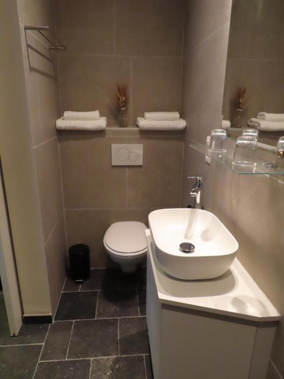 Koupelna v ubytování B&B Den Bruynen Bergh