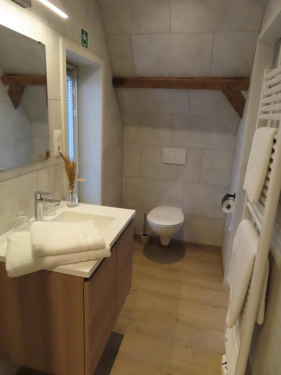 Koupelna v ubytování B&B Den Bruynen Bergh