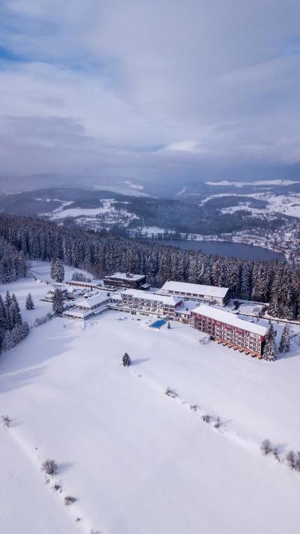Hotel Saigerhöh Wellness Spa Golf Wandern über dem Titisee im Winter