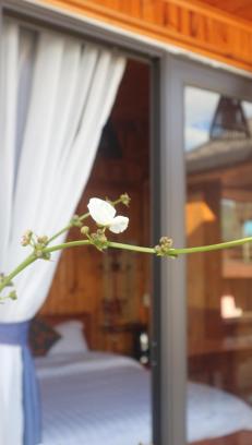 Mây Núi Homestay - 12