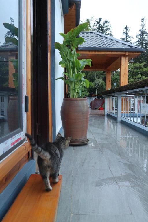 Mây Núi Homestay - 18