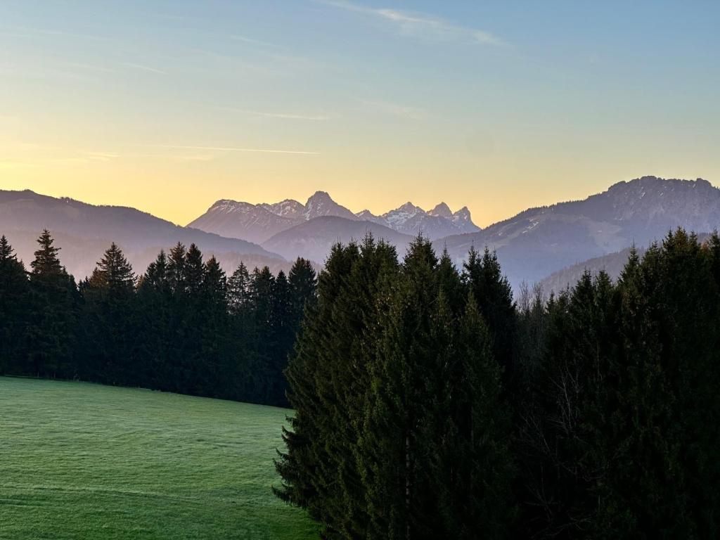 a green field with trees and mountains in the background at Elchegg - Chalet & Panorama-Loft in Rettenberg