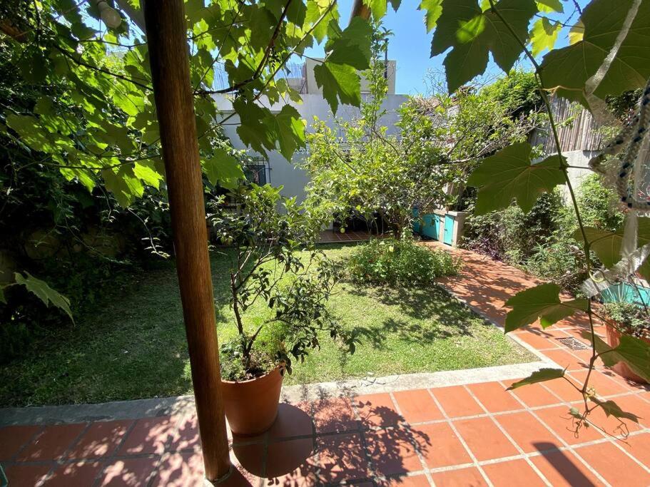 Cozy Home with Garden