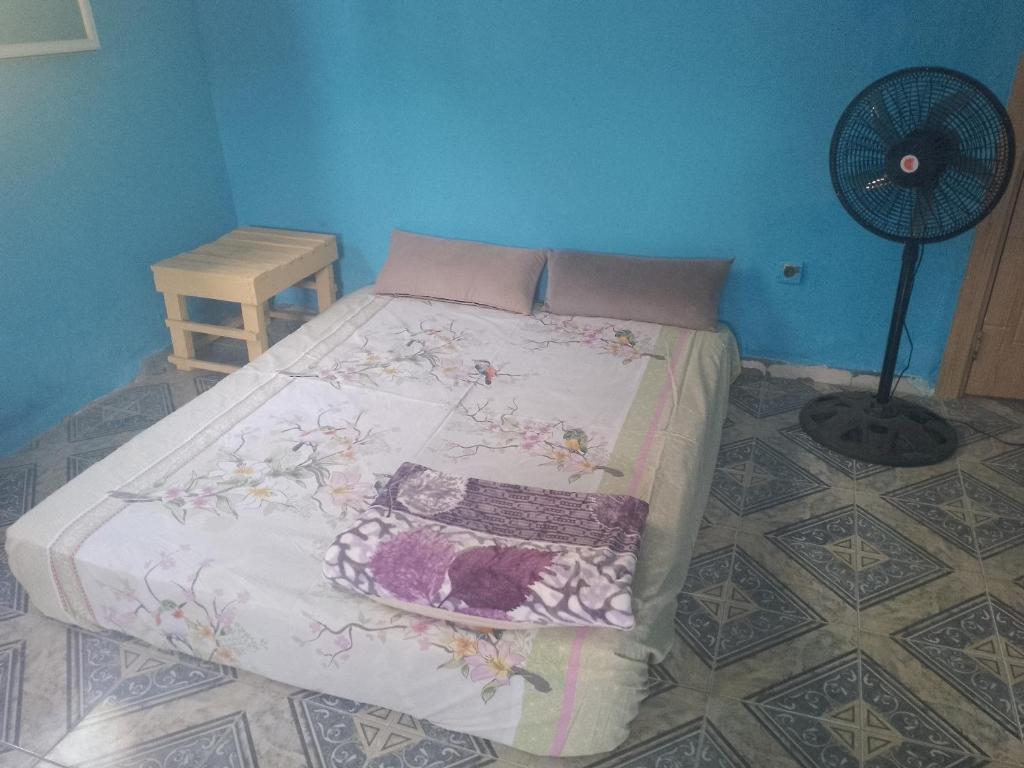 a bed in a blue room with a fan at Dar Daoudi in Nouakchott