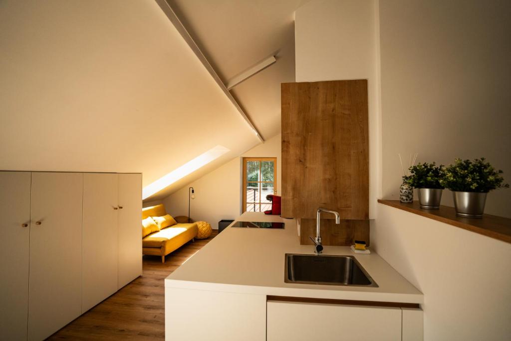 Kuschelkanzel في زولغرُب: مطبخ مع حوض وغرفة معيشة