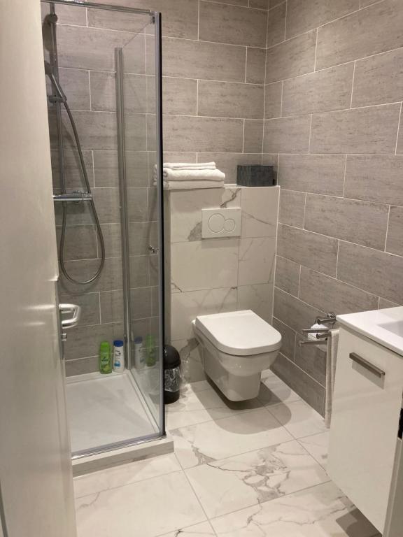 a bathroom with a shower and a toilet and a sink at Résidence de lux tout confort 2 in Geneva