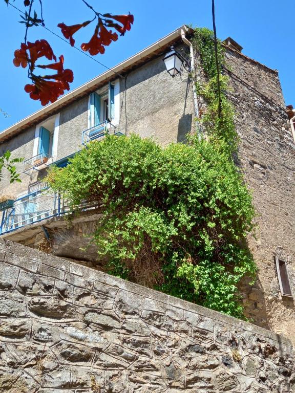 a building with a bush on top of a stone wall at L&#39;Armandière, maison de caractère où règne calme et sérénité. in Pézenes-les-Mines