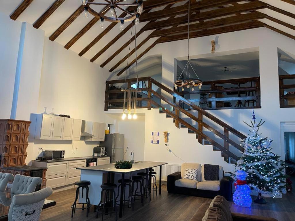 Sunny Lake House في Pangarati: مطبخ وغرفة معيشة مع شجرة عيد الميلاد