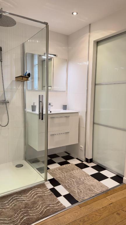 une salle de bain avec douche et lavabo dans l'établissement Le studio d'Agathe centre historique - Confort & Calme, à Valence