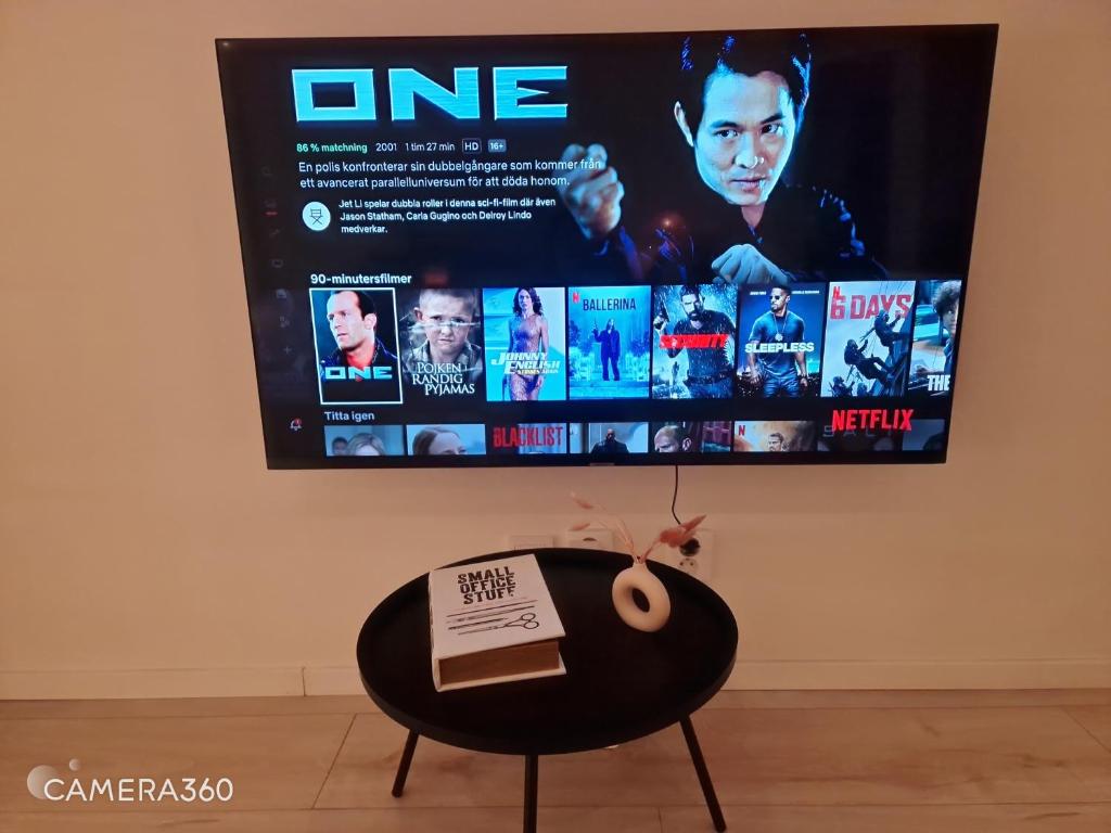 TV a/nebo společenská místnost v ubytování Lorans