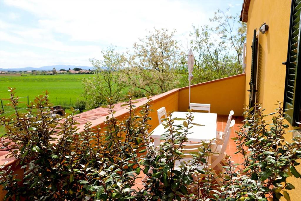 een patio met een tafel en stoelen op een balkon bij Il Gelso di Francesco - N5 in Cecina
