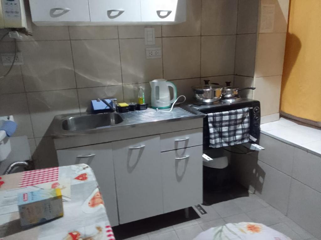 uma pequena cozinha com um lavatório e um fogão em Mendoza Alquileres D10 em Ciudad Lujan de Cuyo